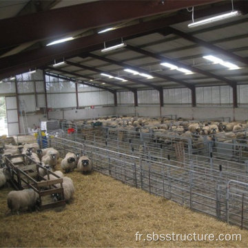 Bâtiment agricole de la ferme de moutons en acier préfabriqué